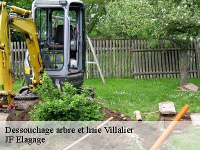 Entreprise dessouchage d arbre et haie à Villalier tel 04 82 29 30 89