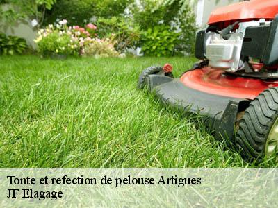 Tonte et refection de pelouse  artigues-11140 JF Elagage