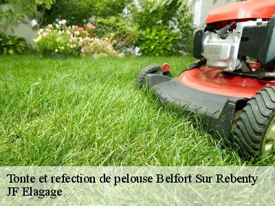 Tonte et refection de pelouse  belfort-sur-rebenty-11140 JF Elagage