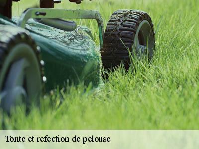 Tonte et refection de pelouse  blomac-11700 JF Elagage