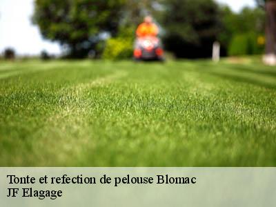 Tonte et refection de pelouse  blomac-11700 JF Elagage