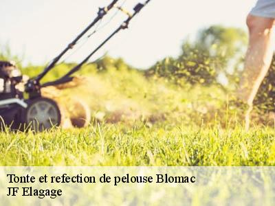 Tonte et refection de pelouse  blomac-11700 JF Elagage