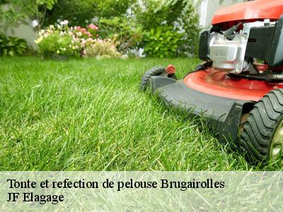 Tonte et refection de pelouse  brugairolles-11300 JF Elagage