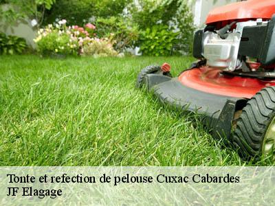 Tonte et refection de pelouse  cuxac-cabardes-11390 JF Elagage