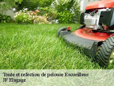 Tonte et refection de pelouse  escueillens-11240 JF Elagage