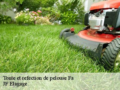 Tonte et refection de pelouse  fa-11260 JF Elagage