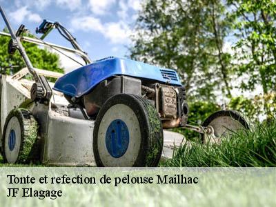 Tonte et refection de pelouse  mailhac-11120 JF Elagage