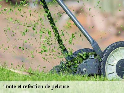 Tonte et refection de pelouse  mailhac-11120 JF Elagage