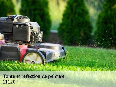 Tonte et refection de pelouse  mailhac-11120 JF Elagage