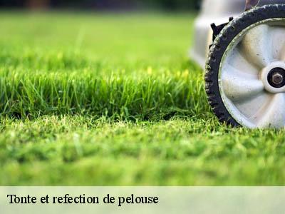 Tonte et refection de pelouse  rustiques-11800 JF Elagage