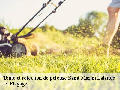 Tonte et refection de pelouse  saint-martin-lalande-11400 JF Elagage