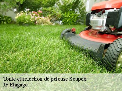 Tonte et refection de pelouse  soupex-11320 JF Elagage