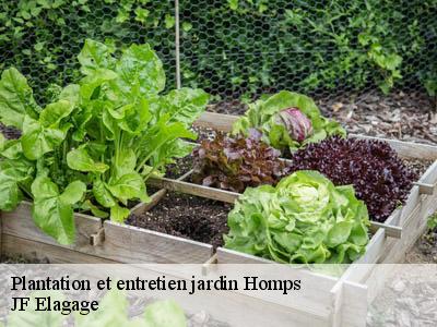 Plantation et entretien jardin  homps-11200 JF Elagage