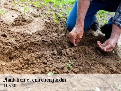 Plantation et entretien jardin  labastide-d-anjou-11320 JF Elagage