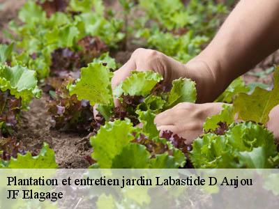 Plantation et entretien jardin  labastide-d-anjou-11320 JF Elagage