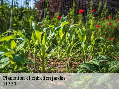 Plantation et entretien jardin  labastide-d-anjou-11320 JF Elagage