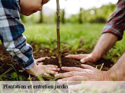 Plantation et entretien jardin  magrie-11300 JF Elagage