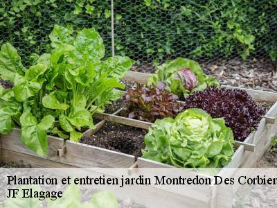 Plantation et entretien jardin  montredon-des-corbieres-11100 JF Elagage