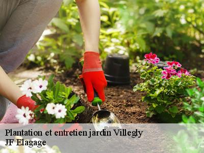 Plantation et entretien jardin  villegly-11600 JF Elagage