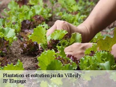 Plantation et entretien jardin  villegly-11600 JF Elagage