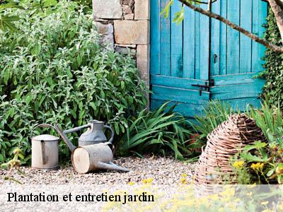 Plantation et entretien jardin  villegly-11600 JF Elagage