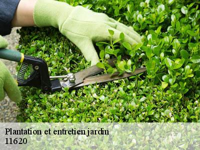 Plantation et entretien jardin  villemoustaussou-11620 JF Elagage