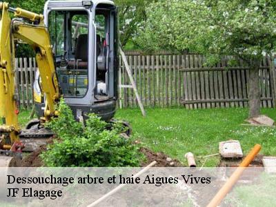 Dessouchage arbre et haie  aigues-vives-11800 JF Elagage