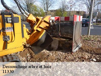 Dessouchage arbre et haie  auriac-11330 JF Elagage