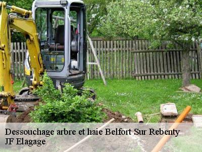 Dessouchage arbre et haie  belfort-sur-rebenty-11140 JF Elagage