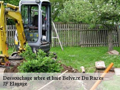 Dessouchage arbre et haie  belveze-du-razes-11240 JF Elagage