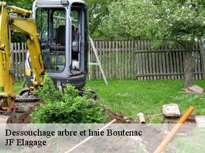 Dessouchage arbre et haie  boutenac-11200 JF Elagage