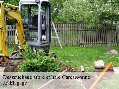 Dessouchage arbre et haie  carcassonne-11000 JF Elagage