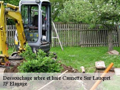 Dessouchage arbre et haie  caunette-sur-lauquet-11250 JF Elagage