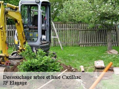 Dessouchage arbre et haie  cazilhac-11570 JF Elagage