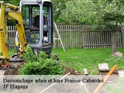 Dessouchage arbre et haie  fraisse-cabardes-11600 JF Elagage