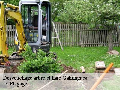 Dessouchage arbre et haie  galinagues-11140 JF Elagage