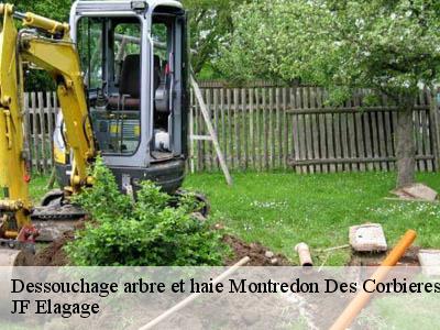 Dessouchage arbre et haie  montredon-des-corbieres-11100 JF Elagage