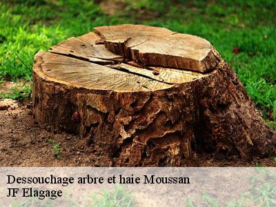 Dessouchage arbre et haie  moussan-11120 JF Elagage