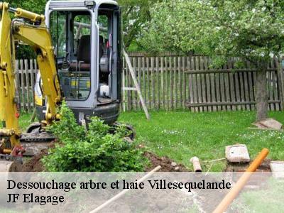 Dessouchage arbre et haie  villesequelande-11170 JF Elagage