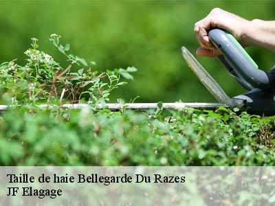 Taille de haie  bellegarde-du-razes-11240 JF Elagage