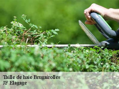 Taille de haie  brugairolles-11300 JF Elagage