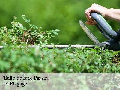 Taille de haie  paraza-11200 JF Elagage