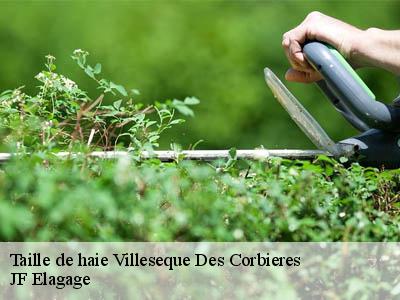 Taille de haie  villeseque-des-corbieres-11360 JF Elagage