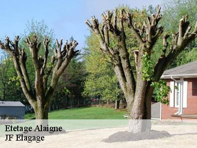 Etetage  alaigne-11240 JF Elagage