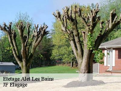 Etetage  alet-les-bains-11580 JF Elagage