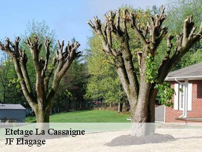 Etetage  la-cassaigne-11270 JF Elagage