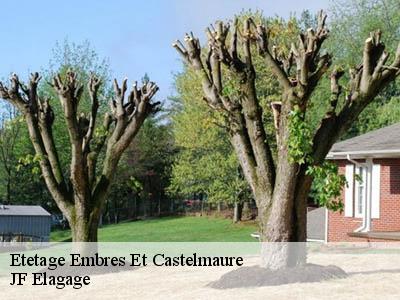 Etetage  embres-et-castelmaure-11360 JF Elagage