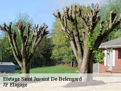 Etetage  saint-jusaint-de-belengard-11240 JF Elagage