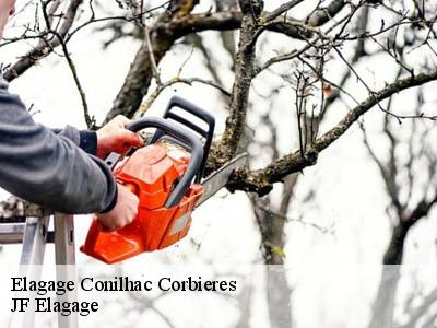 Elagage  conilhac-corbieres-11200 JF Elagage