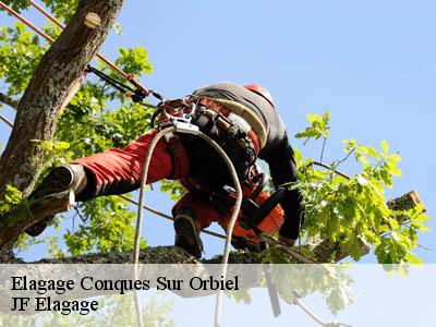 Elagage  conques-sur-orbiel-11600 JF Elagage
